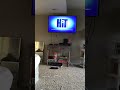 Opening To Bob The Builder Building Yard Adventures 2004 VHS