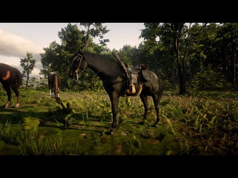 Domando o Cavalo Mais Bonito do RDR2