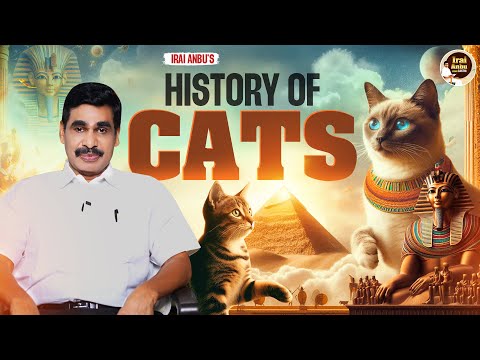 History of Cats | Irai Anbu
