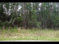 9 Sedum Court Homosassa FL 34446