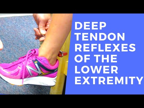 Deep Tendon Reflexes of the Lower Extremities