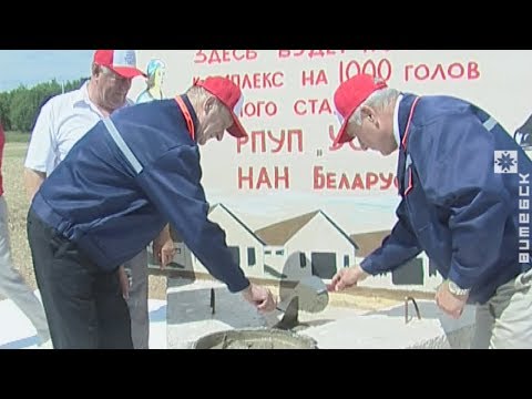 Ферма с «Каруселью» появится в Оршанском районе (05.07.2018)
