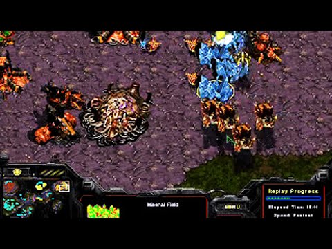 Starcraft 4v4 2017#25