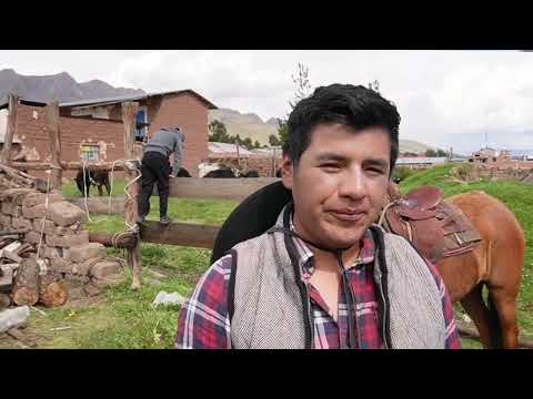 TOROS DE LIDIA EN LA COMUNIDAD DE ÑAHUICHAPI CCOLLANA LANGUI CANAS CUSCO 