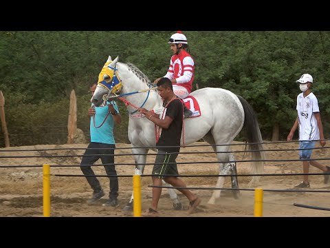 RETROSPECTIVA 2021 - Corrida de cavalos