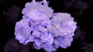 Jeremy − &#39;The Good And Faithful Servant&#39; (Television Personalities Cover)