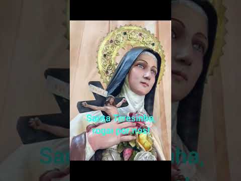 SANTA TERESINHA DO MENINO JESUS, ROGAI POR NÓS! #shorts #tercomeditadopalavradevida #santateresinha