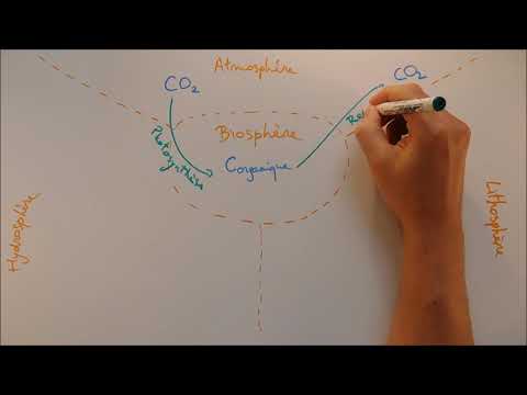 download lagu mp3 mp4 Cycle Du Carbone, download lagu Cycle Du Carbone gratis, unduh video klip Cycle Du Carbone