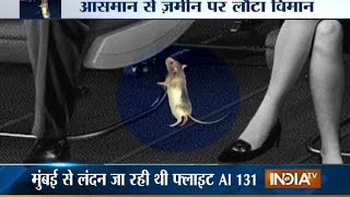 Rat Forced Air India Flight to Land Back at Mumbai Airport