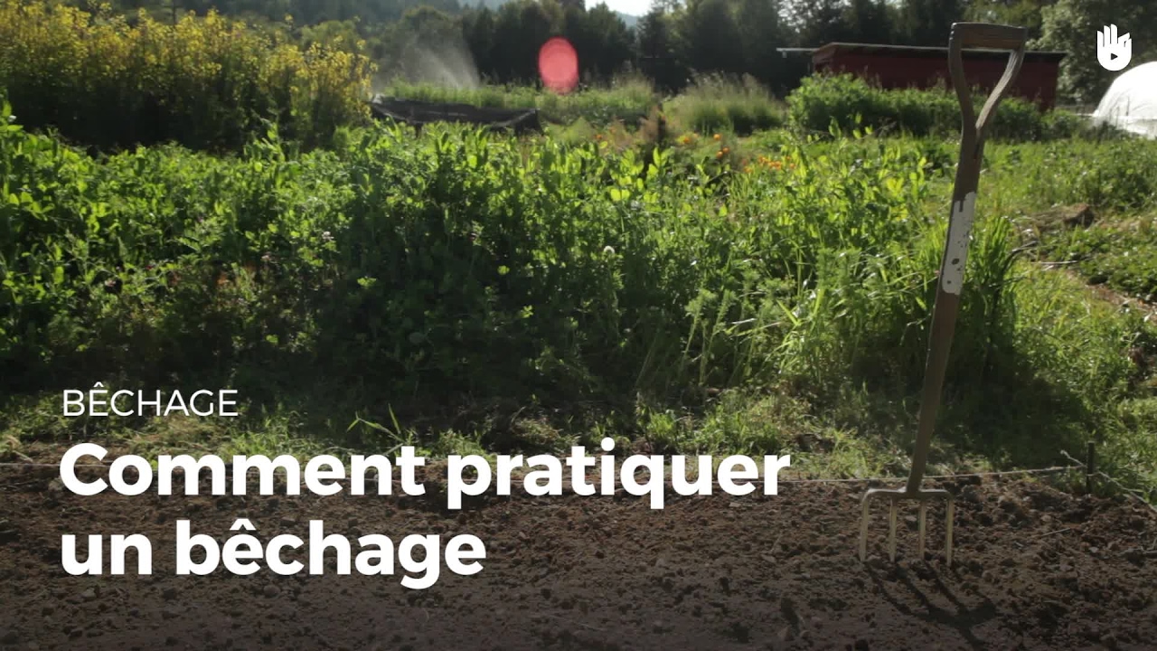 Pratiquer un bêchage Cultiver son jardin Sikana — free download
