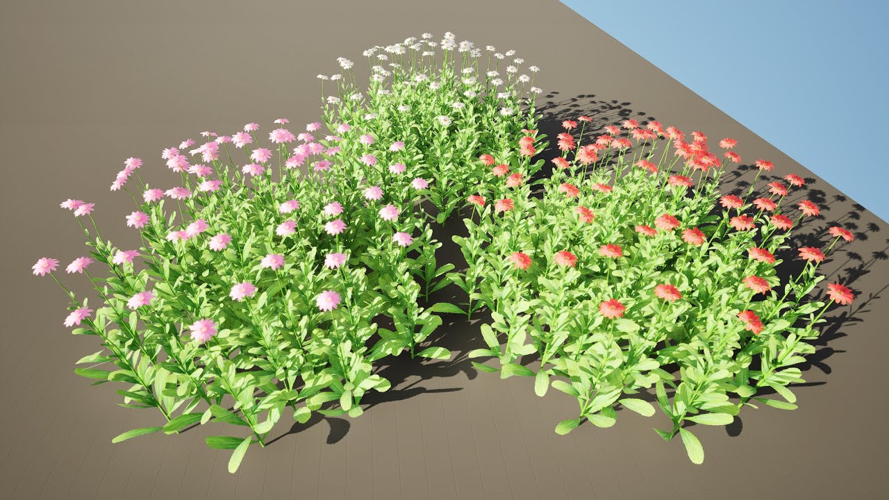 Colorful Common Daisy flowers bush 3D Model
