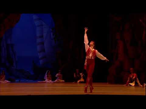 LE CORSAIRE - Ali Variation (Igor Tsvirko)