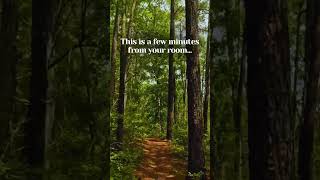 Download lagu Hiking Trails Near The Lodge at Lake Guntersville, Alabama mp3