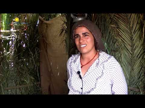 Uruguay por dentro 30 de Noviembre del 2024, Fiesta del Mate 2