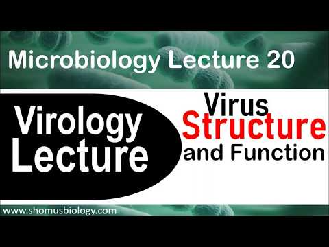 Virology Lecture 1 Virus Structure And Classification Video Lecture Virology Lecture 1 Virus Structure And Classification Video Lecture