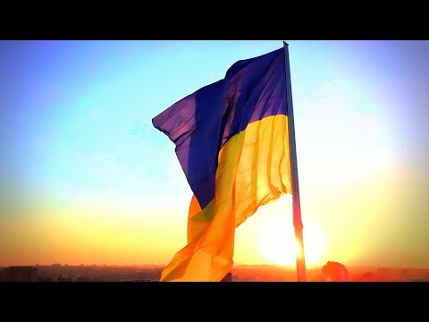 Tony Venuto - Dominos (music video)