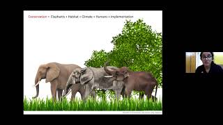 Elephants, Cortisol & Conservation - Insights into Probable Stress