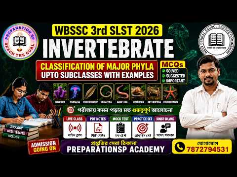 Invertebrate Classification (Major Phyla to Subclasses)