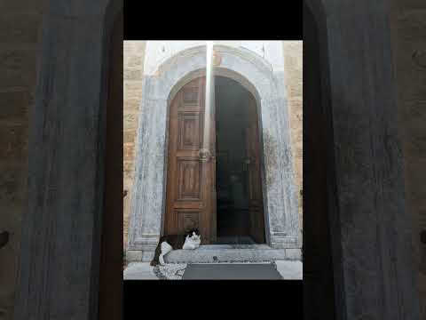 #music #hideaway #daya #newsong #rhodeisland #greece #beach #beautiful #beachlife #dance #rhodes