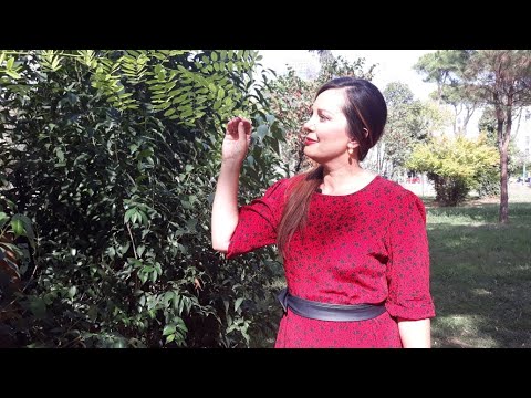 Vitrina e librit/ Shitësi i këpucëve-Knight; I ri në moshë, kureshtar dhe i sapo diplomuar në biznes