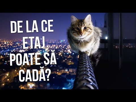 Viziune pentru vedere