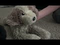 Wicked Short Horror Comedy Film