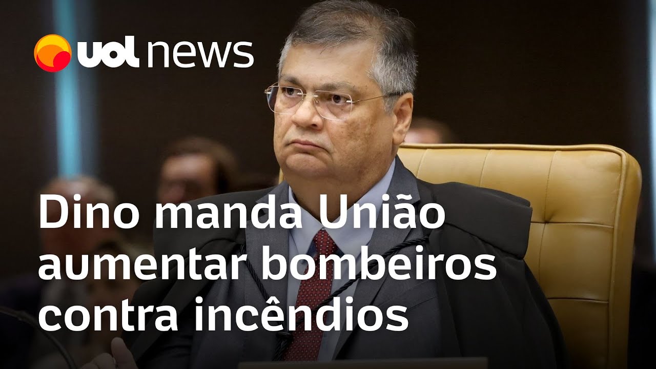 Dino manda União aumentar bombeiros contra incêndios na Amazônia e Pantanal