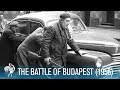 The Battle Of Budapest: Hungarian Revolution (1956) | British Pathé