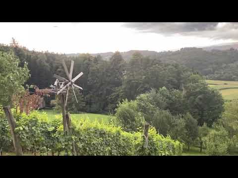 Klapotetz im Weingarten