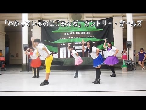 [Smile Project] Wakatteiru no ni Gomen ne (DANCE COVER) [を踊ってみた]