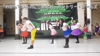 [Smile Project] Wakatteiru no ni Gomen ne (DANCE COVER) [を踊ってみた]