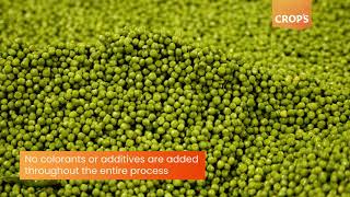 The delicate journey of a pea