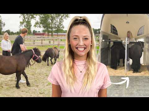 HELLA'S PFERDE ziehen ein!