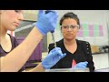 Lab 5 Overview Transforming Bacteria With The Ligation Products Overview