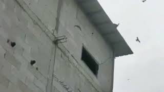 Download lagu ❤️LINK 👇SP AKAU-JOOS TARIKAN 👉SP NAWAR WULAN VS TARIK SENJA TWB INAP BAYANGAN REVISI. mp3