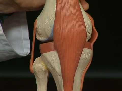 Bandverletzung Lücke Knie-Behandlung Osteochondrose Tages-Therapie