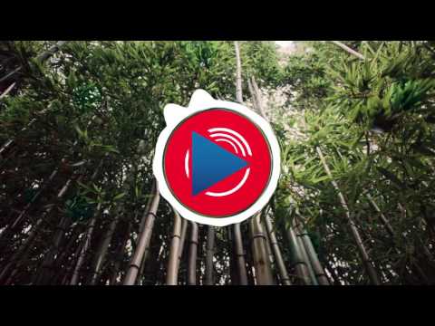 Gramatik - Native Son Prequel ft. Leo Napier (Jenaux Remix)