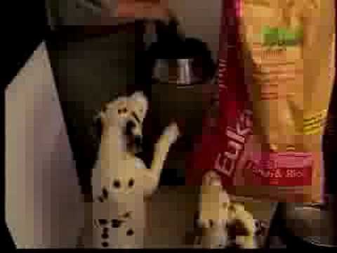 Breed All About It - Dalmation