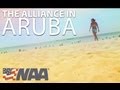 National Agents Alliance - Aruba Travelogue: Andy's Wrap Up