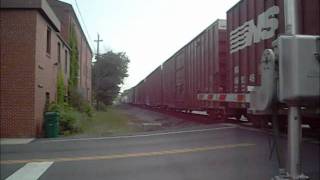 preview picture of video 'Norfolk Southern In Luray, Virginia'