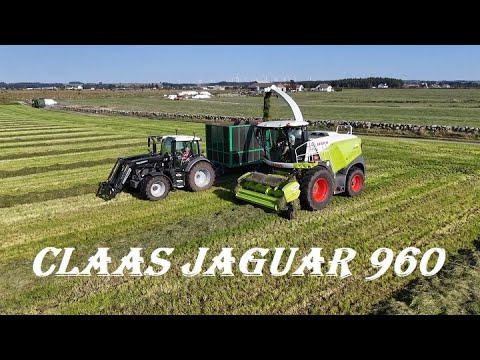 Claas Jaguar 960