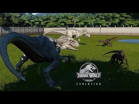 2 INDORAPTOR VS 2 INDOMINUS REX - BATTLE || JURASSIC WORLD EVOLUTION
