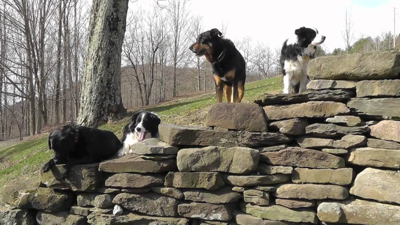 How Frieda inspired a book: 