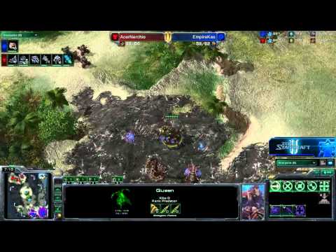 [RRT] Nerchio(T) vs Kas(Z) set 5