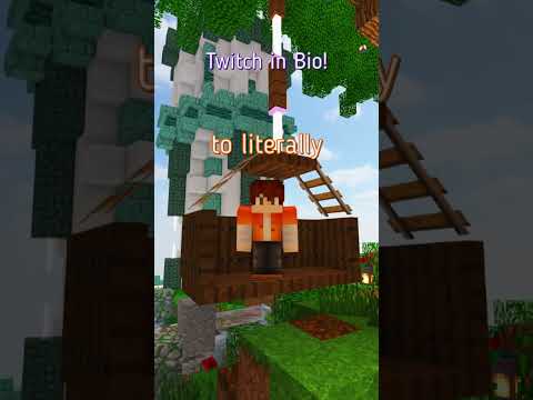 Twitch in PINNED COMMENT | What THIS MINECRAFT STREAMER has to say!