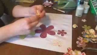 Tammy's Flower Part 1