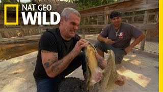Henry Rollins Learns to Wrestle | Animal Underworld
