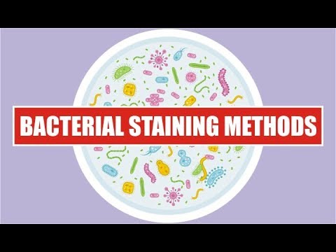 mcgraw hill connect access code free microbiology mcgraw hill connect access code free microbiology