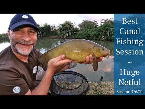Huge Canal Netful - Tench, Rudd, Silver Bream & A Surprise Catch - Canal Fishing - 7/6/21(Video 248)