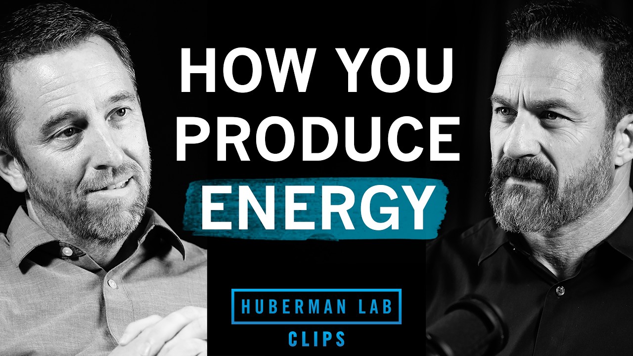 How Your Body Turns Food Into Energy | Dr. Jared Rutter & Dr. Andrew Huberman